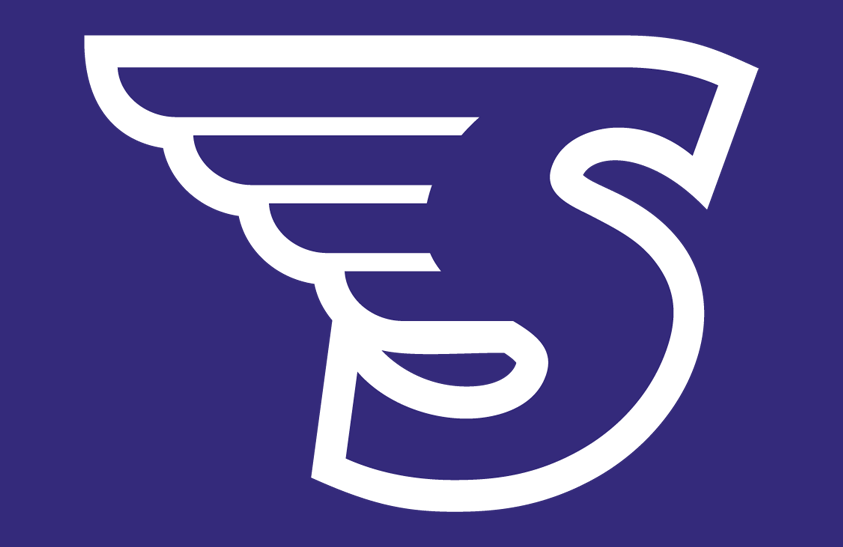 Stonehill Skyhawks 2014-Pres Helmet Logo diy iron on heat transfer